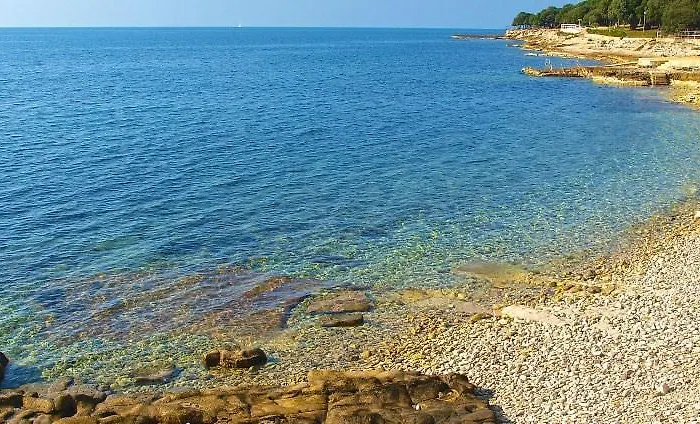 Mariza בית הארחה